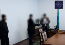 Субсидии на 380 млн тенге получили обманным путем сельхозники в Туркестанской области антикор