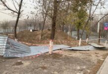 В Шымкенте ожидается штормовой ветер Штормовой ветер