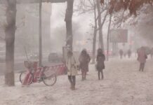 Зимняя погода в Шымкенте оставила без света почти 13 тысяч человек