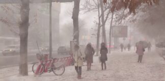 Зимняя погода в Шымкенте оставила без света почти 13 тысяч человек