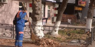 Слепой дворник 10 лет наводит чистоту на улицах Шымкента дворник