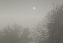 Пыльная буря в Туркестанской области: Причины и последствия