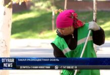 Такая разноцветная осень