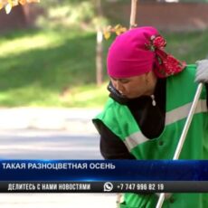 Такая разноцветная осень