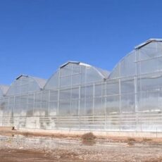 Теплицы в Туркестанской области страдают от нехватки угля теплицы