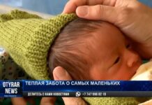 В Шымкенте ежегодно растет количество недоношенных младенцев