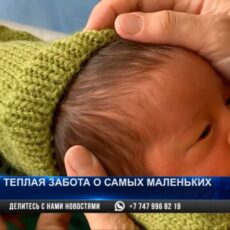 В Шымкенте ежегодно растет количество недоношенных младенцев