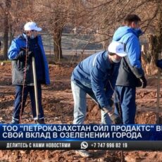 ТОО «Петроказахстан Ойл Продактс» вносит свой вклад в озеленение Шымкента