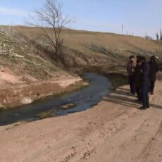 Аграрии села Балыкты несут большие убытки из-за нехватки поливной воды поливная вода