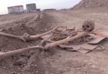 Дорогу на костях хотели построить в Шымкенте