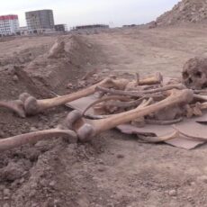 Дорогу на костях хотели построить в Шымкенте