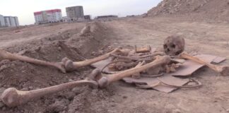 Дорогу на костях хотели построить в Шымкенте