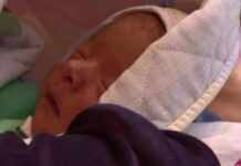 В Шымкенте зафиксировали рекордное число рожденных близнецов и тройняшек