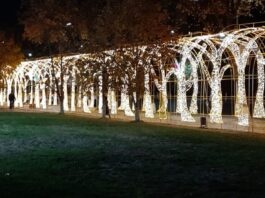 Светящийся тоннель в центре Шымкента