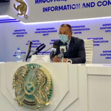 Информацию о заражениях сибирской язвой в Шымкенте опровергли