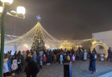 В Енбекшинском районе зажглась  новогодняя  елка