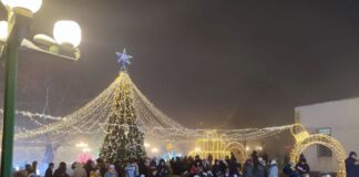 В Енбекшинском районе зажглась новогодняя елка