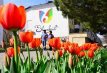 В Шымкенте предложили назвать улицы именами казахских ханов Шымкент