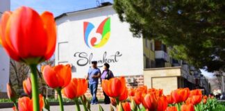 Город трудовой доблести Шымкент