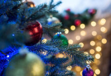 Главная новогодняя елка в Шымкенте зажжется 23 декабря елка