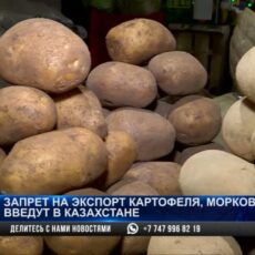 Что будет с ценами на картофель?