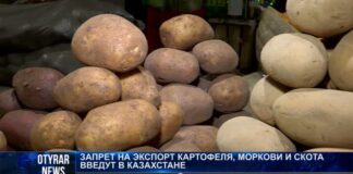 Что будет с ценами на картофель?