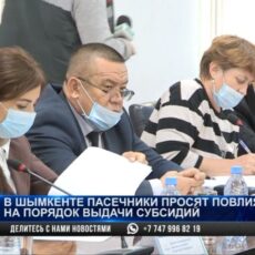 Шымкентские пчеловоды остались без госсубсидий