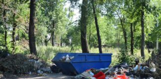 Нарушителей чистоты наказали в Шымкенте мусор