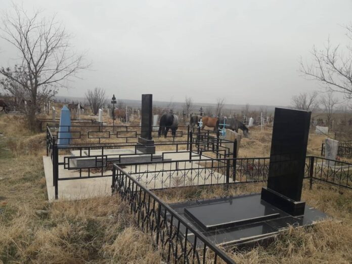 кладбище кладбище