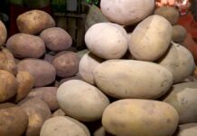 В Казахстане принимают меры для стабилизации цен на картофель Картофель на рынке