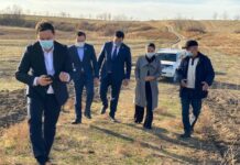 Депутаты Шымкента будут следить за посадкой и ростом деревьев