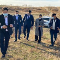 Депутаты Шымкента будут следить за посадкой и ростом деревьев