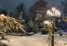 Заснеженный Шымкент. Куда пойти в такую погоду?