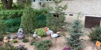 Живой уголок спрятался среди переполненных мусором урн в Шымкенте