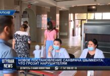 Как будут учиться школьники по новому постановлению?