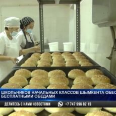 Учеников частных школ тоже обеспечат бесплатным горячим питанием