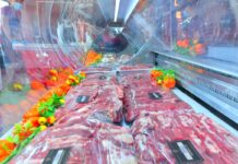 Ждать ли шымкентцам дефицита продуктов питания и удорожания мясо