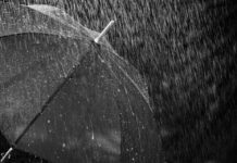 Сильные осадки и туман надвигаются на Шымкент дождь