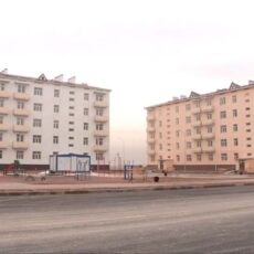 Кому государство готово оплатить 50% за аренду жилья