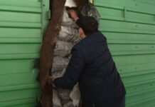 На границе с Узбекистаном простаивают вагоны с картофелем на сотни миллионов