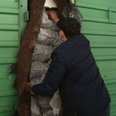 На границе с Узбекистаном простаивают вагоны с картофелем на сотни миллионов