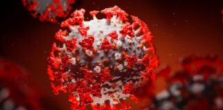 В Шымкенте зафиксировали 37 новых случаев КВИ