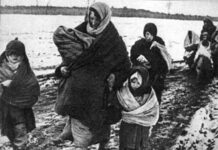 «Убивали и выкидывали мертвые тела по дороге». Итоги операции «Чечевица»