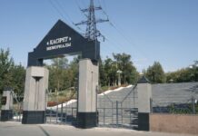 Страшные тайны Лисьей балки