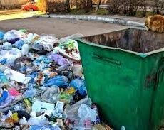 Труп женщины в мусорном баке. Задержан подозреваемый мусорка