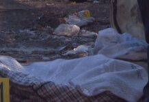 «Вся в крови, лицо избито»: о трупе в мусорном баке Шымкента