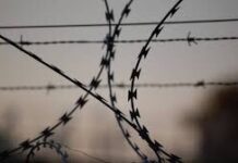 6 заключенных подрались в колонии строгого режима в Шымкента