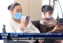 В Шымкенте распределят 413 квот на ЭКО. Как получить?