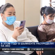 В Шымкенте распределят 413 квот на ЭКО. Как получить?