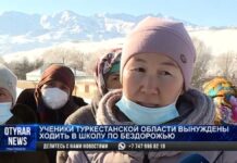 Путь в школу: дикие звери, бродячие собаки и 5 км пешком